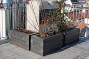 Blumentröge auf Dachterrasse
