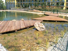 Sonnendeck bei Schwimmteich