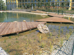 WRC Western Red Cedar