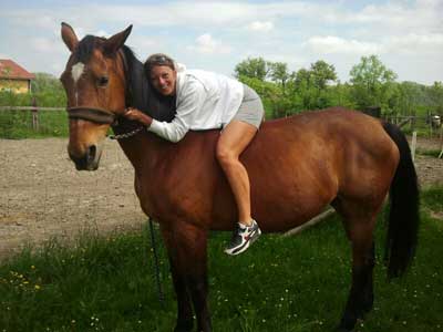 Pferd mit Reiterin